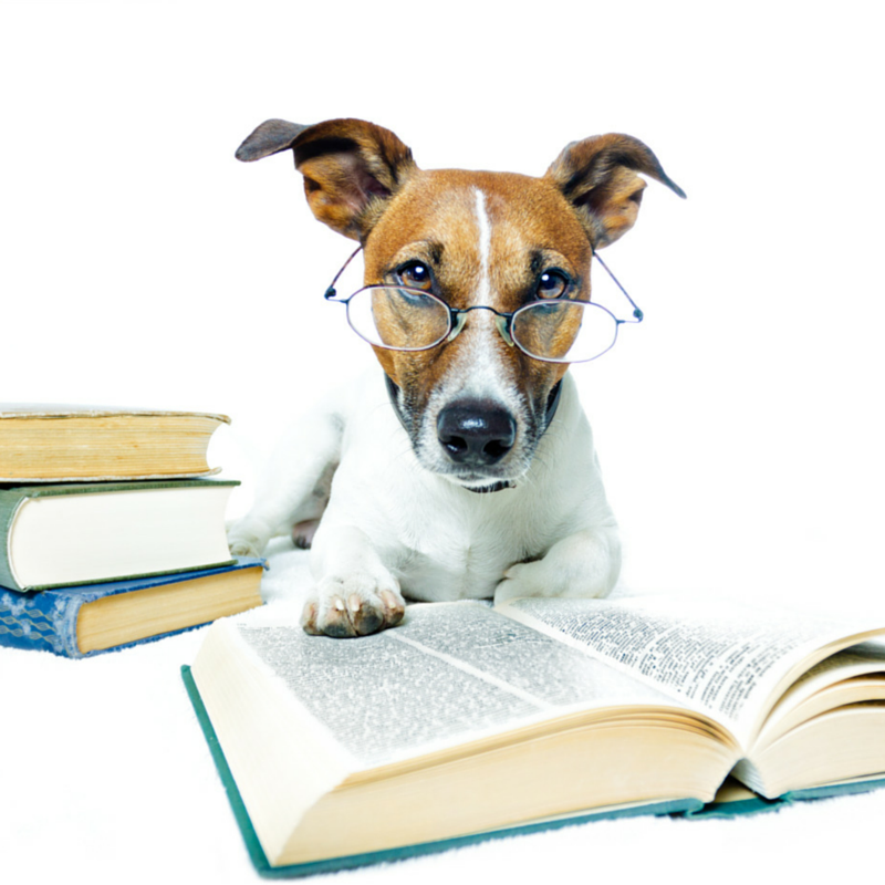 free clipart dog reading - photo #42